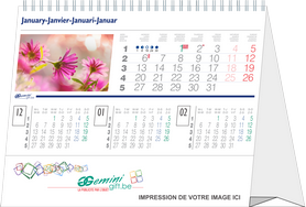 geminigift-calendrier 3 mois de bureau chevalet photo.png